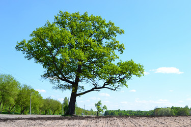 Similar image 641050