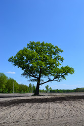 Similar image 641051