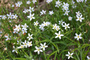 Similar image 641099