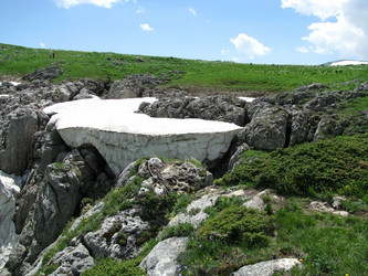 Similar image 641108