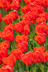 Similar image 641136