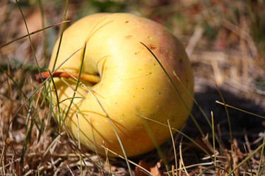 Similar image 641138