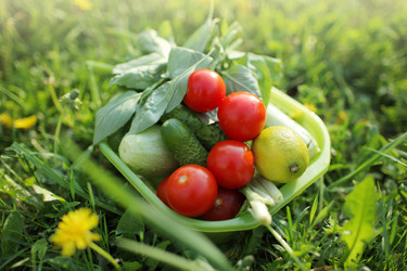 Similar image 641153