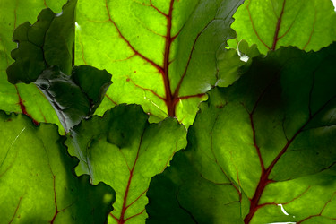 Similar image 641171