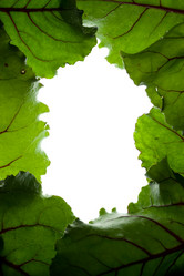 Similar image 641172