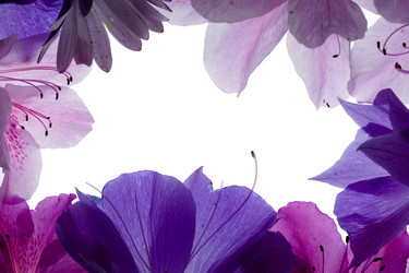 Similar image 641175