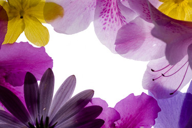 Similar image 641177