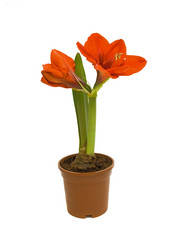 Similar image 641198