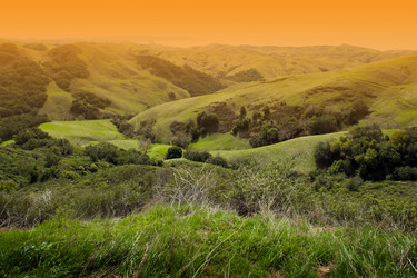 Similar image 641202