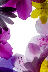 Similar image 641205