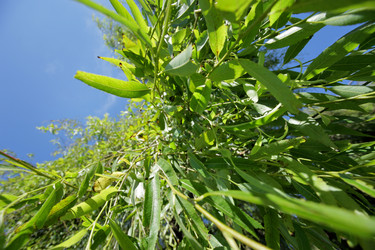 Similar image 641213