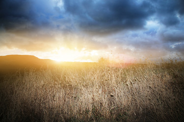 Similar image 641252