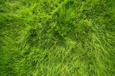 Similar image 641258