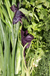 Similar image 641261