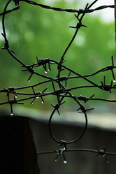 Similar image 641264