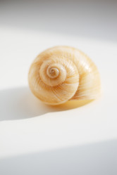 Similar image 641307