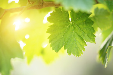 Similar image 641329