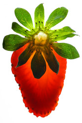 Similar image 641340