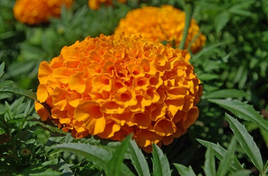 Similar image 641343