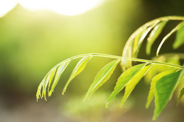 Similar image 641357