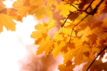 Similar image 641359