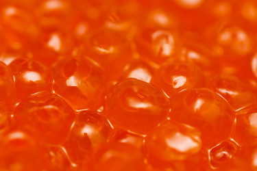 Similar image 641363