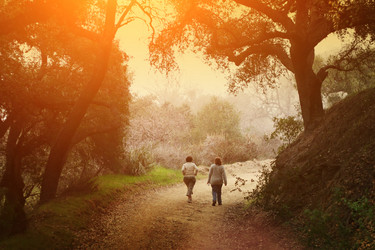 Similar image 641364