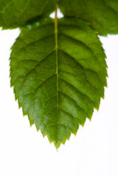 Similar image 641365