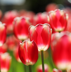 Similar image 641379