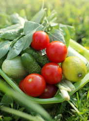 Similar image 641384