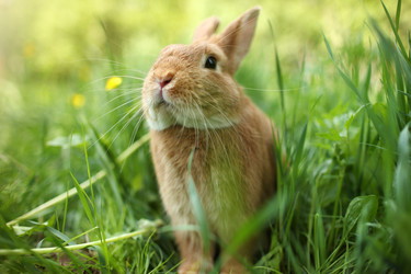 Similar image 641388