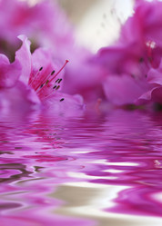 Similar image 641412