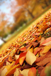 Similar image 641436