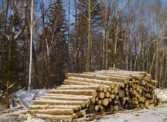 Similar image 641441