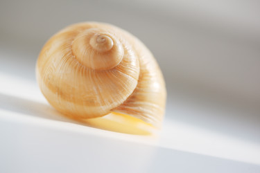 Similar image 641443