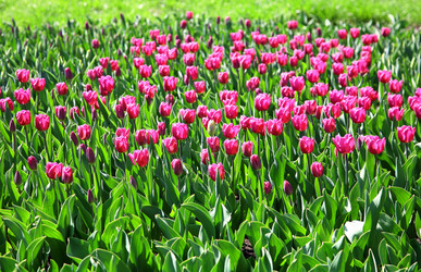 Similar image 641448