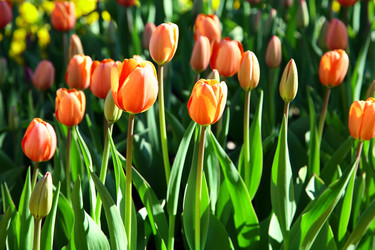 Similar image 641449