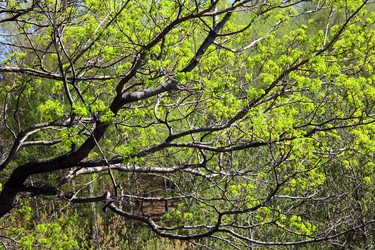 Similar image 641452