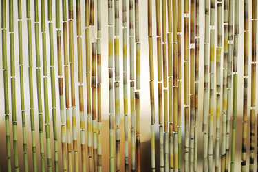 Similar image 641500