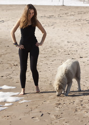 Similar image 641540