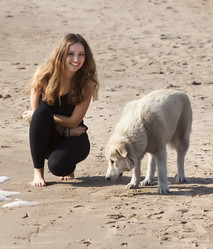 Similar image 641545