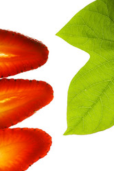 Similar image 641552