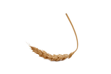 Similar image 641628