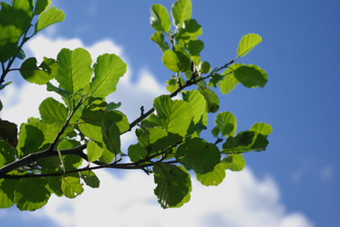 Similar image 641650