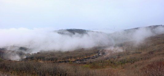 Similar image 641652