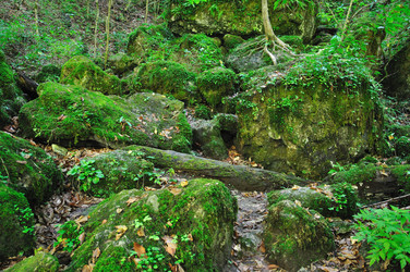 Similar image 641655