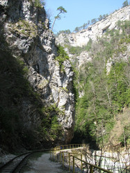 Similar image 641683