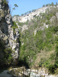 Similar image 641687