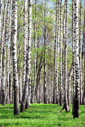 Similar image 641697