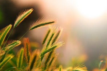 Similar image 641751